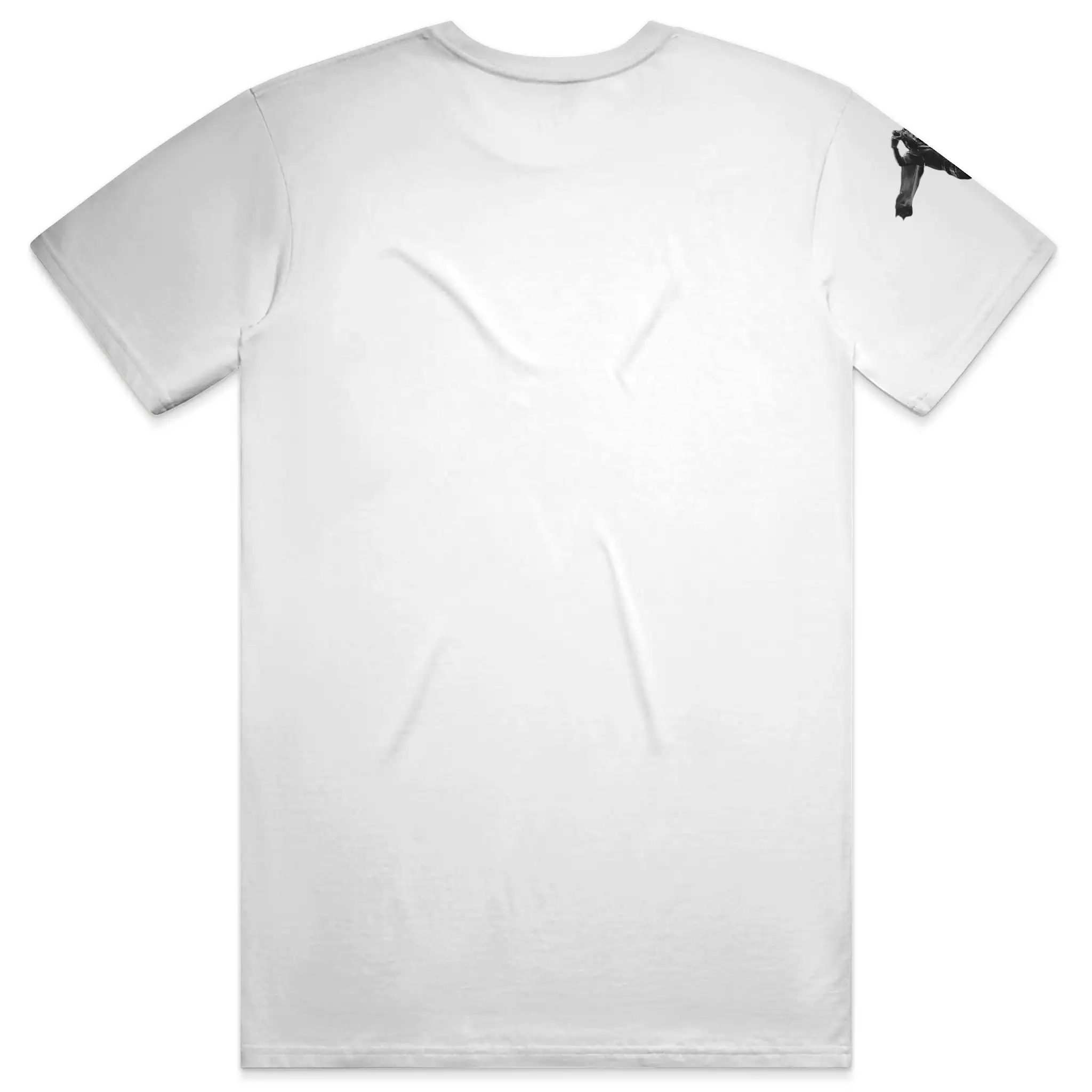 Destiny 2 Cade Sleeve